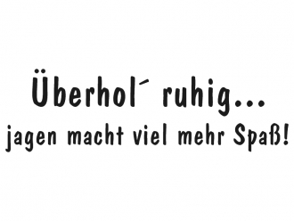 Heckscheibenaufkleber Autoaufkleber Überhol' ruhig von